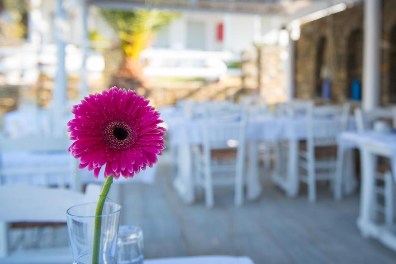 Villa Irini Platis Gialos (Sifnos) Exterior foto